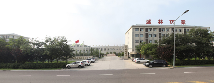 盛林大门全景图10.jpg