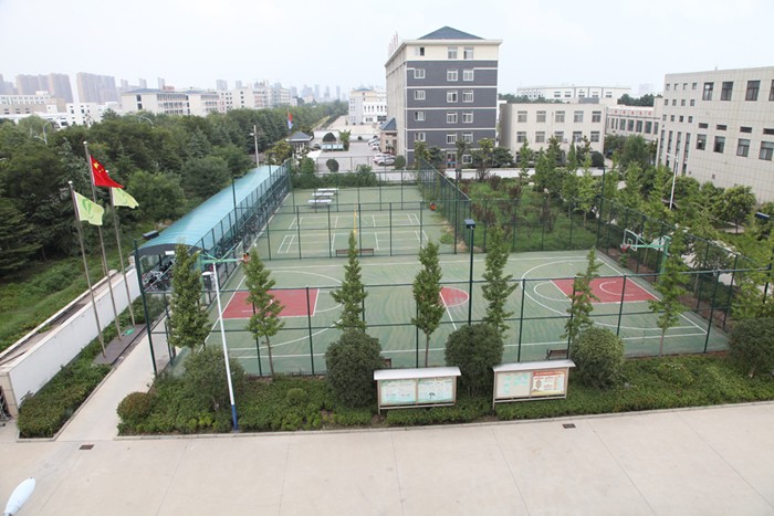 公司蓝球场.JPG
